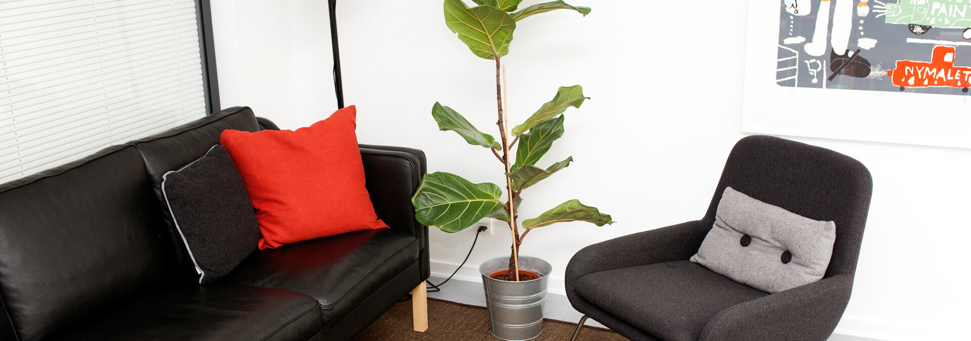 Stue med sofa, stol og plante